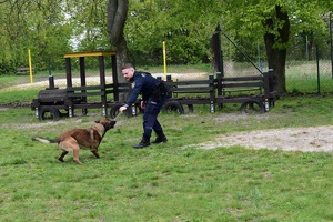 policjant z psem na trawniku